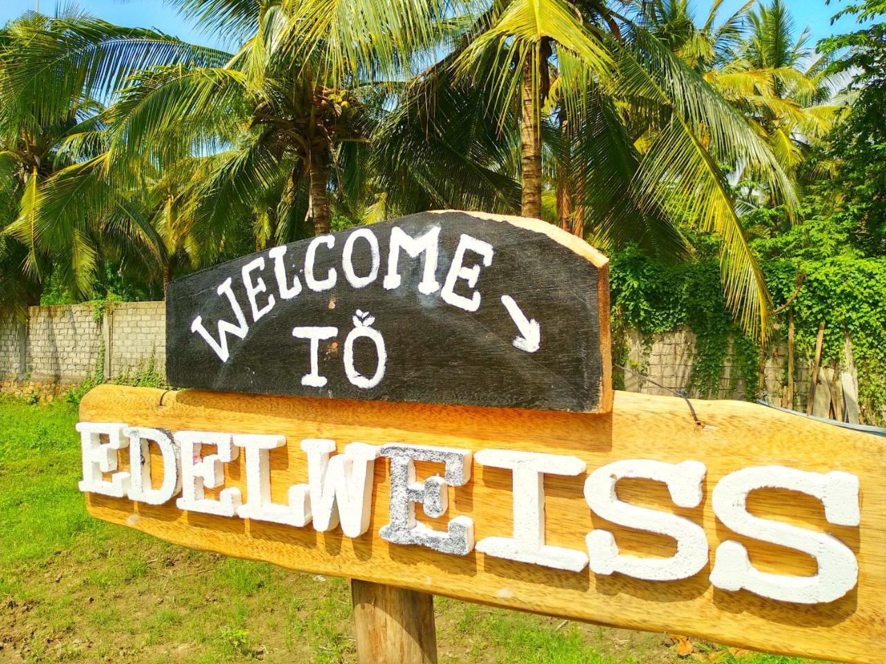 Edelweiss Homestay Kuta  外观 照片